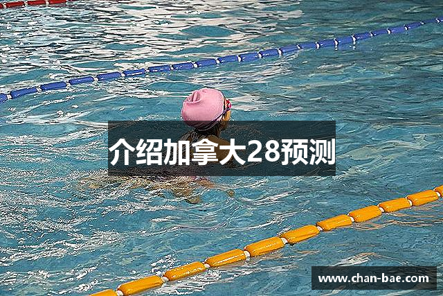 介绍加拿大28预测